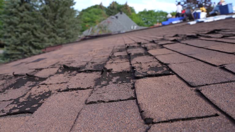 4 Ply Roofing in Elkridge, MD